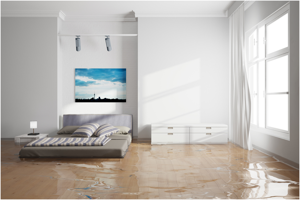 Things To Look For in Best Water Damage Restoration Company